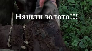 Приятная находка под конец поиска.