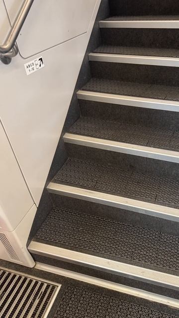 English with his Russian girlfriend Travelling from the airport by train  into Moscow Wow