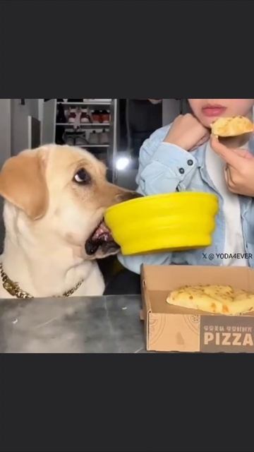 Дай поесть смотреть онлайн