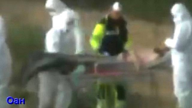 Ответы на Вопросы по Эзотерике от 09.07.25 Часть 3 смотреть онлайн