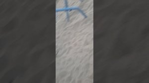 догонялки (но в плохой видео записи)