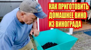 КАК ПРИГОТОВИТЬ ДОМАШНЕЕ ВИНО ИЗ ВИНОГРАДА