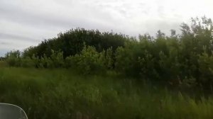 мотор болотоход испытания по мели