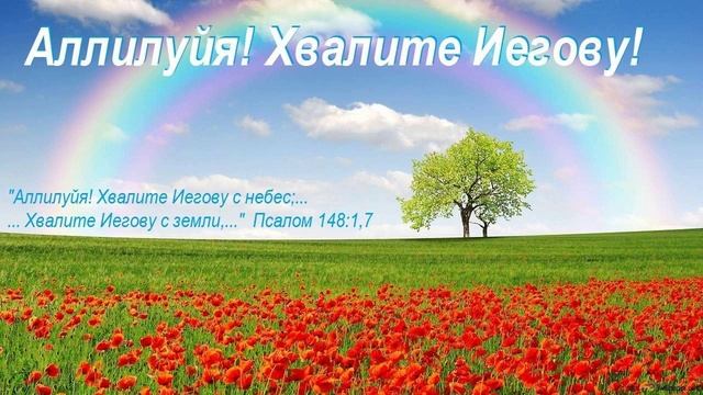 Аллилуйя! Хвалите Иегову!