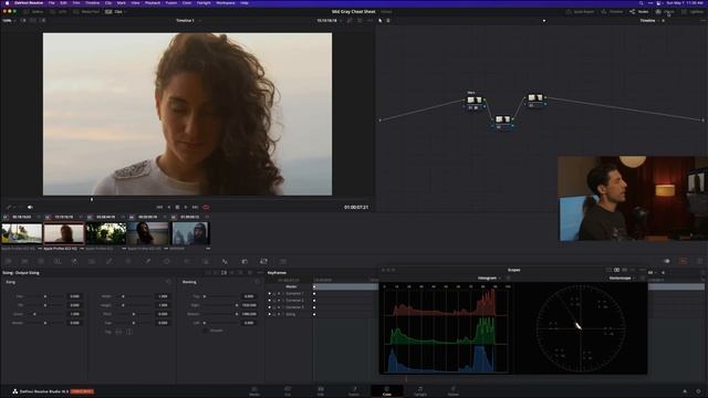 Самый важный инструмент цветокоррекции в DaVinci Resolve (средний серый) смотреть онлайн