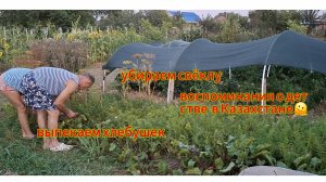 Переезд из Сибири на юг. Купили дом на юге. Наслаждаемся южной жизнью. 💖