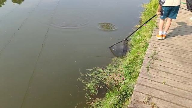 Поимка смотреть онлайн