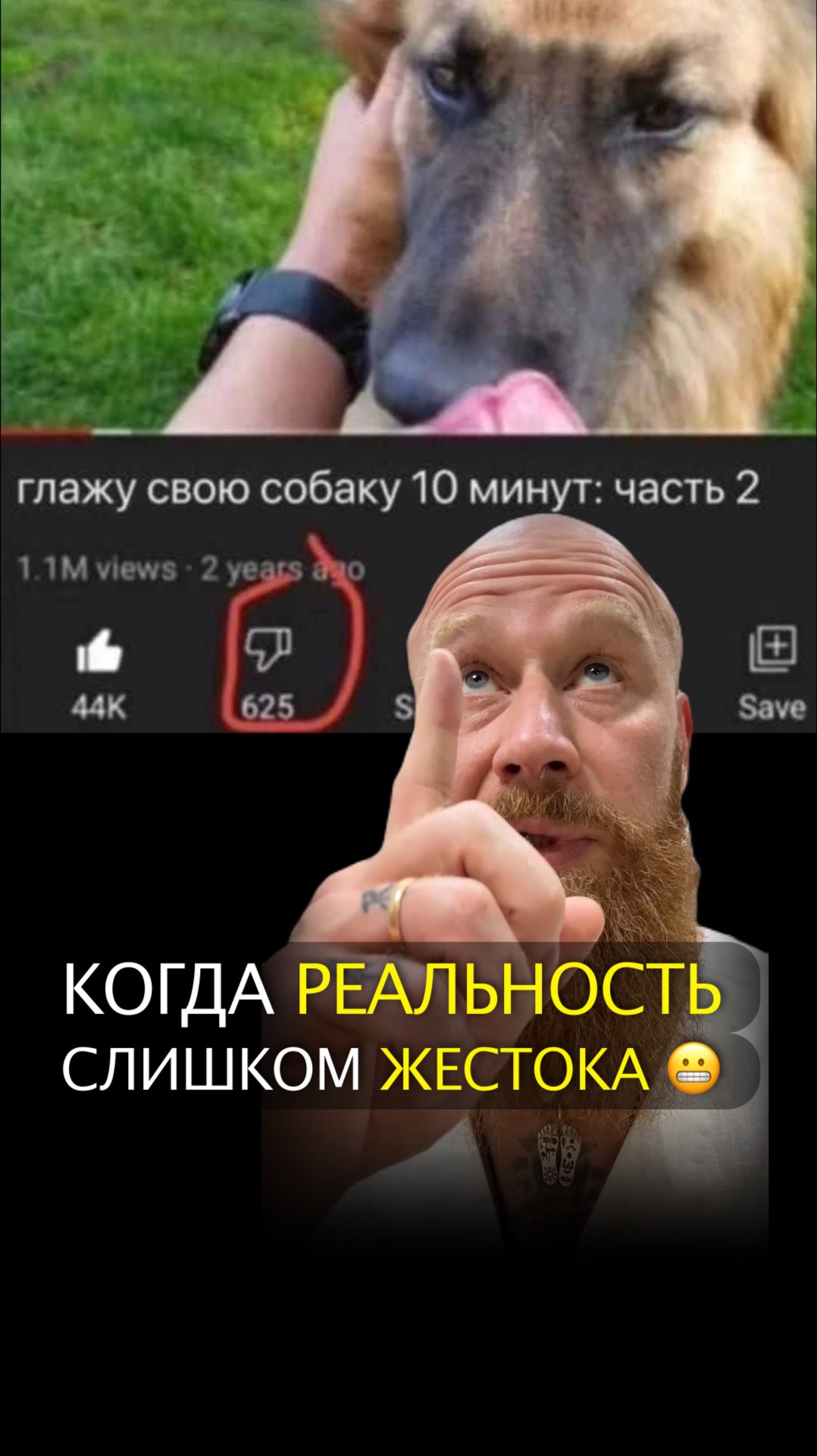 Когда реальность слишком жестока смотреть онлайн