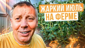 📝 Мое хозяйство в июле: козы, бараны, утки, гуси и сенокос — всё в деталях! 🌾🐑🦆