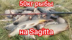 50 кг РЫБЫ НА УДОЧКУ SAGITTA ОТ ВБОК КИВОК.