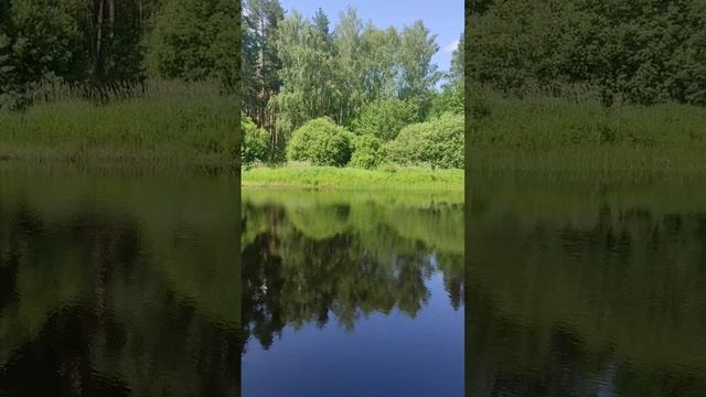 Красивая природа с музыкой смотреть онлайн