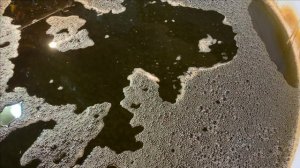 Гибель карпа КОИ.Пруд в гараже.