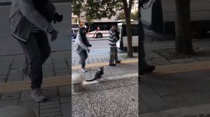 Наш TG https://t.me/liveofcats