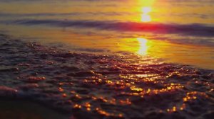 Beautiful Insanity _ NightDrive mix