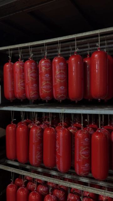 IMG_3809 смотреть онлайн