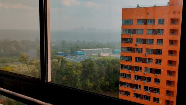 Летний дождь