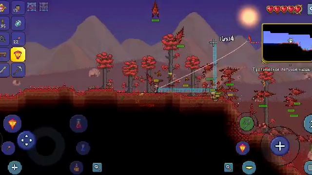 играю в терарию