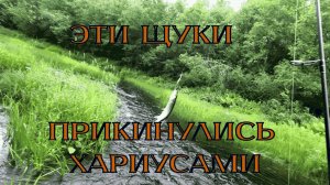 ПРОГУЛКА по МАЛОЙ РЕКЕ в ИЮЛЕ 2025