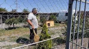 УМКЕ СТАЛО ЛУЧШЕ/ЩЕНКА НАЗВАЛИ ЗЛАТА