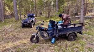 ПРОВЕРКА ПРИВАДЫ НА МЕДВЕДЯ.СЛИВАЕМ БЕРЕЗОВЫЙ СОК.СОБИРАЕМ ВАЛЕЖНИК.
