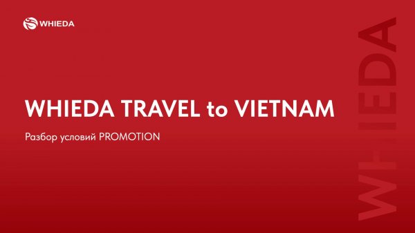 🔴 WHIEDA | разбор условий PROMOTION "Travel to Vietnam"
