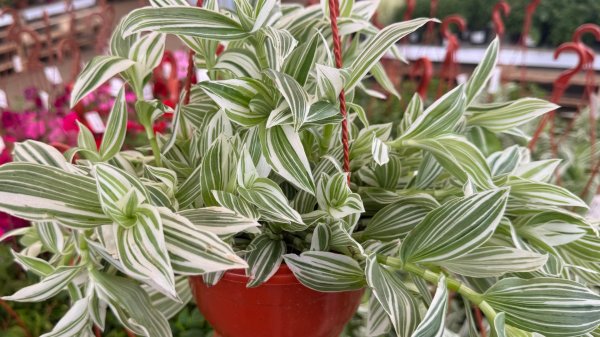 ЛЕМАНА ПРО | НОВИНКИ | СТОЛЬКО ВСЕГО ИНТЕРЕСНОГО