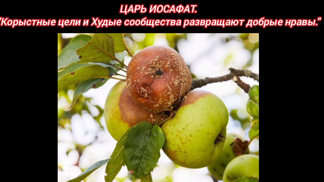 ЦАРЬ ИОСАФАТ - Корыстные цели и Худые сообщества развращают добрые нравы.