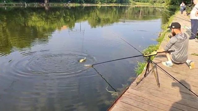 Поимка Карпа смотреть онлайн