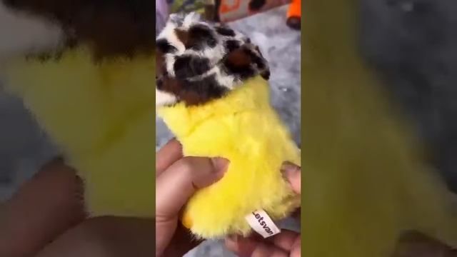 На смену Лабубу пришла Вакуку — новая игрушка из Китая сметает предшественника с пьедестала смотреть онлайн