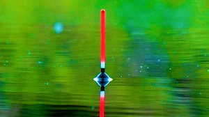 Рыбалка на поплавок на лесном озере - неожиданный улов! Секреты ловли и прикормки!