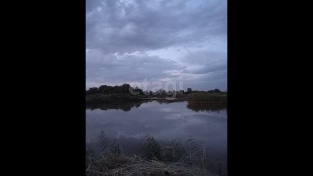 8982318 смотреть онлайн