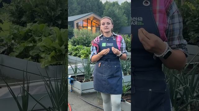 ПОЧЕМУ ПОЛИВАТЬ НУЖНО ВЕЧЕРОМ смотреть онлайн