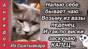 Анекдот из Сыктывкара 😜