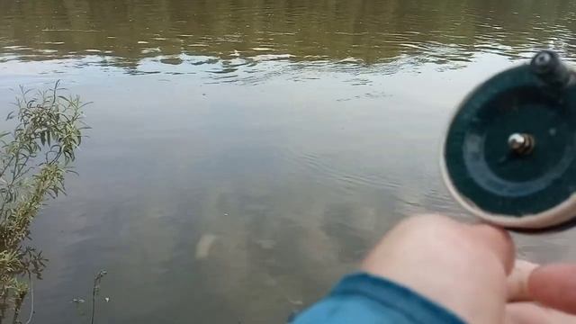 Рыбалка на поплавочную удочку. Река Обь. Клюёт, Плотва, Уклейка. смотреть онлайн