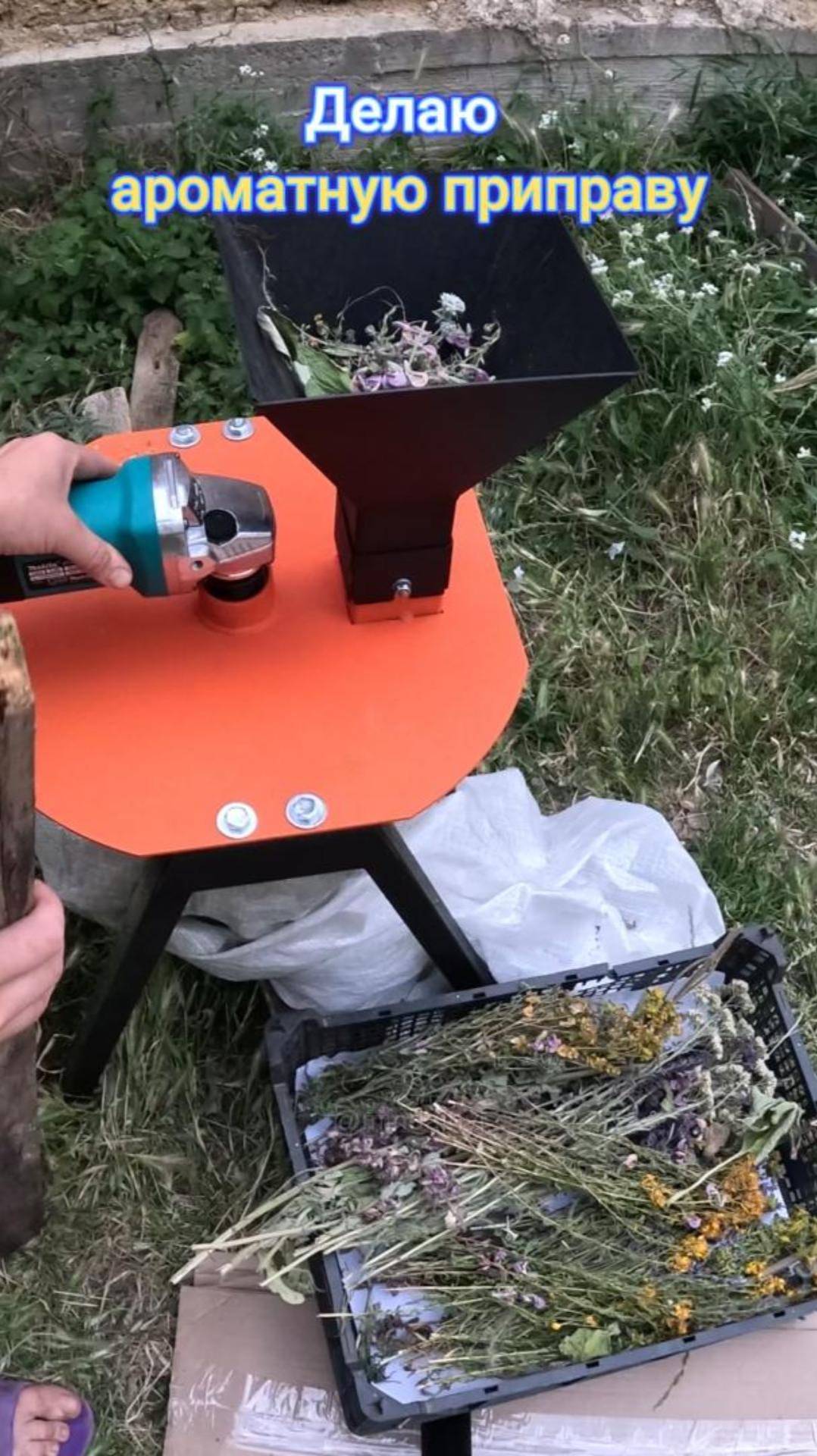 Делаю приправу из ароматных лекарственных трав