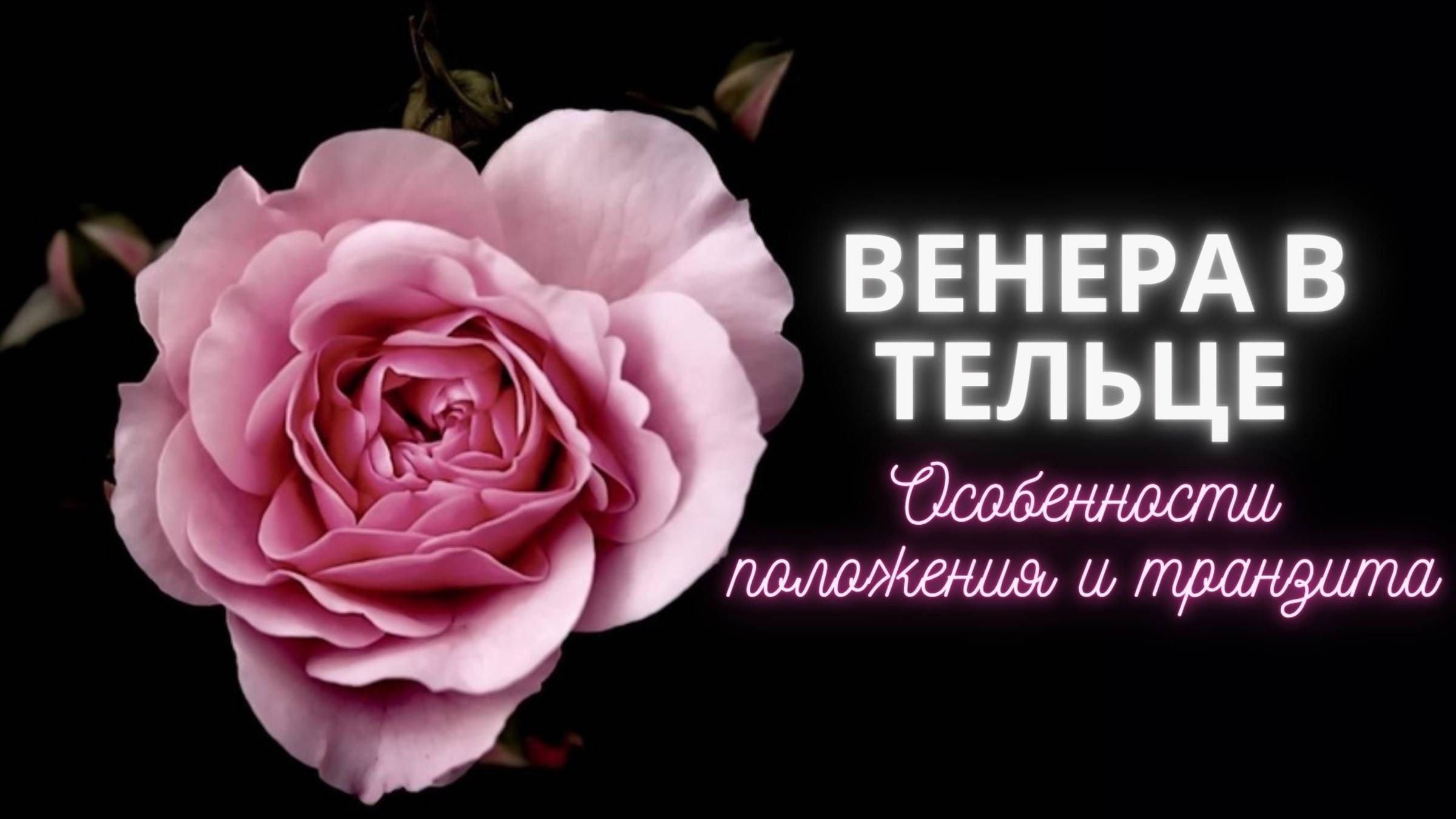Венера в Тельце