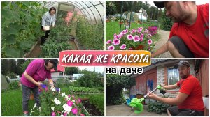 ВЛОГ! Приехали с Аллой на дачу с ночёвкой😊/Обзор нового триммера на аккумуляторных батареях🔥