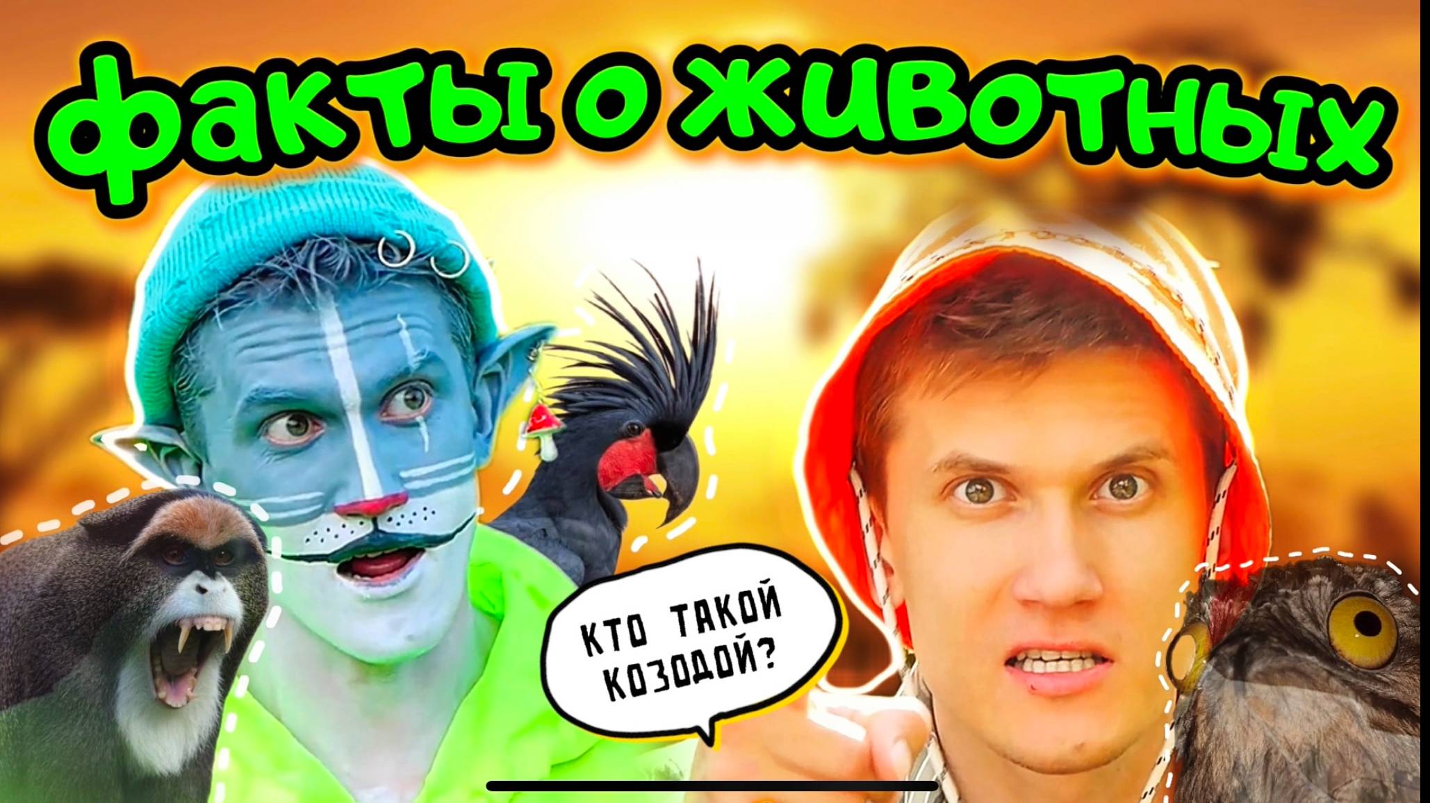 КОТ УЧЁНЫЙ | УДИВИТЕЛЬНЫЕ ФАКТЫ О ЖИВОТНЫХ смотреть онлайн