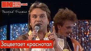 ВИА "ПЛАМЯ" - Зацветает краснотал (1987) | Солист Валерий Белянин