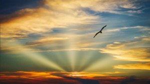 Эннио Марриконе - Избранное