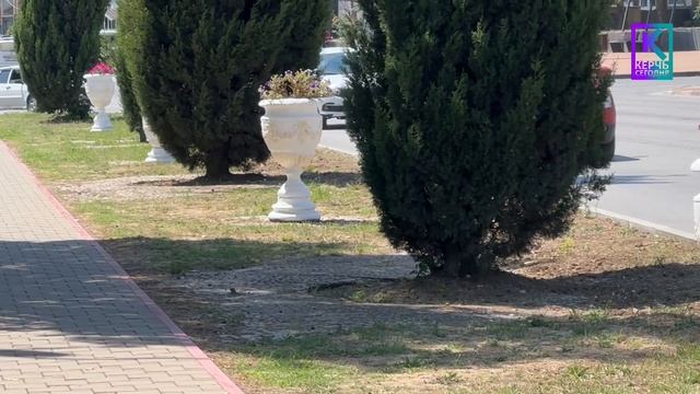 Лето в Керчи смотреть онлайн