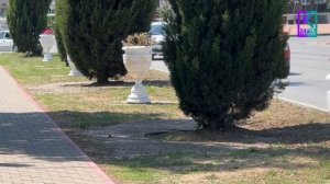 Лето в Керчи