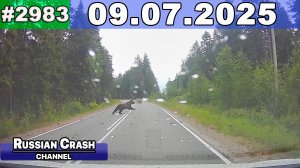 ДТП. Подборка на видеорегистратор за 09.07.2025 Июль 2025