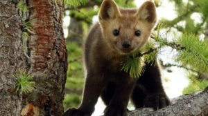 У каждого мастера свои технологии!)