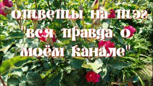 Ответы  на ТЭГ  « Вся правда о моём  канале»