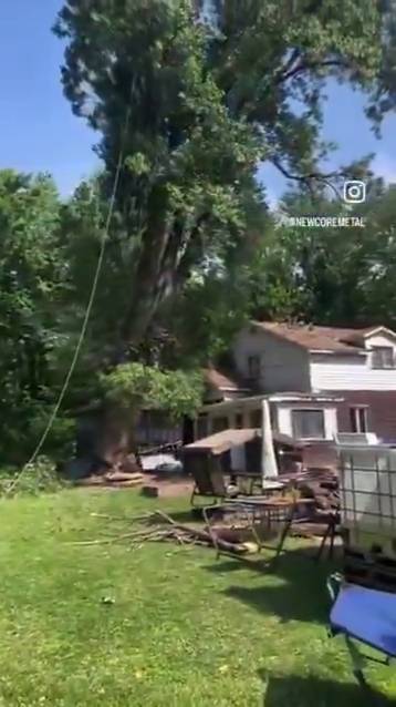 Срубили дерево прямо на дом