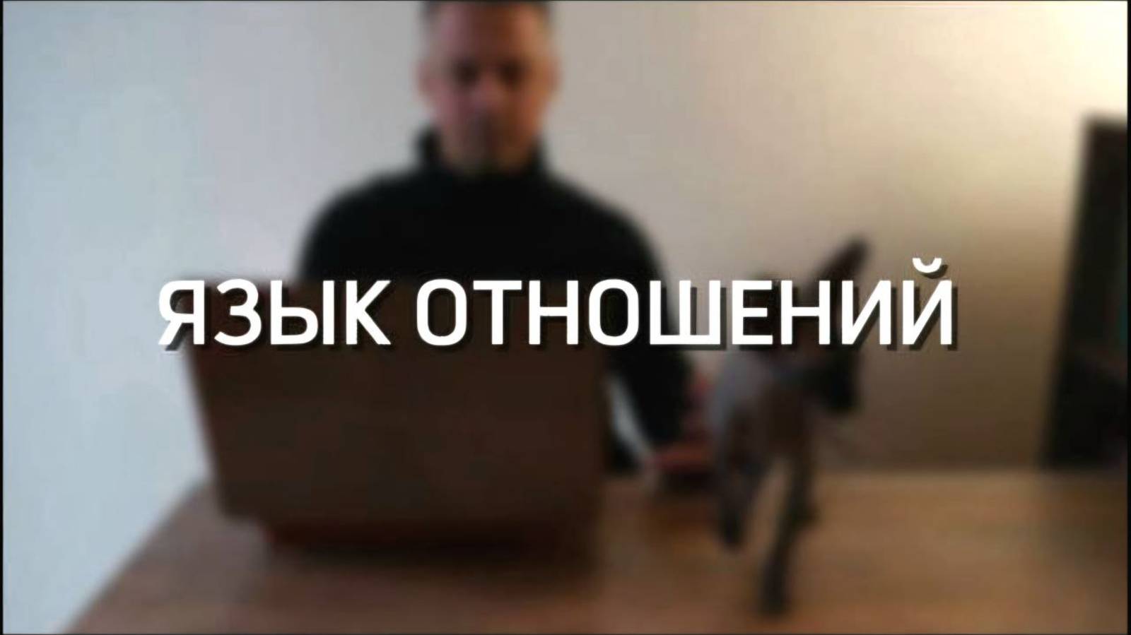 Язык отношений - разговор по душам: о любви, коммуникации и взаимопонимании.