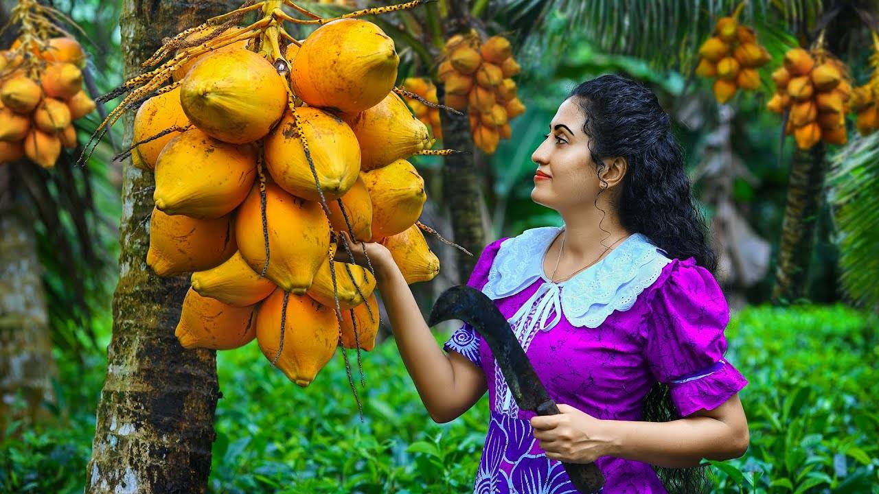 Королевское кокосовое вино!🍷 Пирог, смузи и сухое карри на своей кухне в шри-ланкийской деревне!