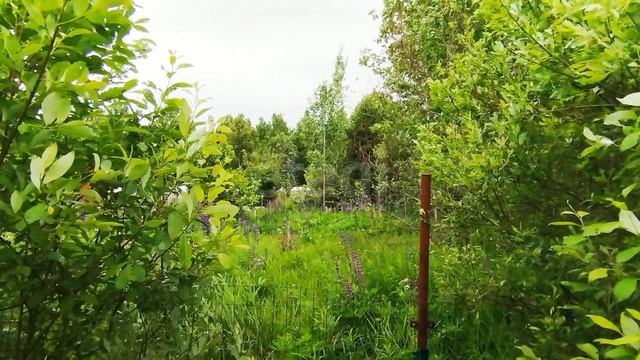 садоводческое некоммерческое товарищество Изумрудное, 1-я Воинская улица смотреть онлайн
