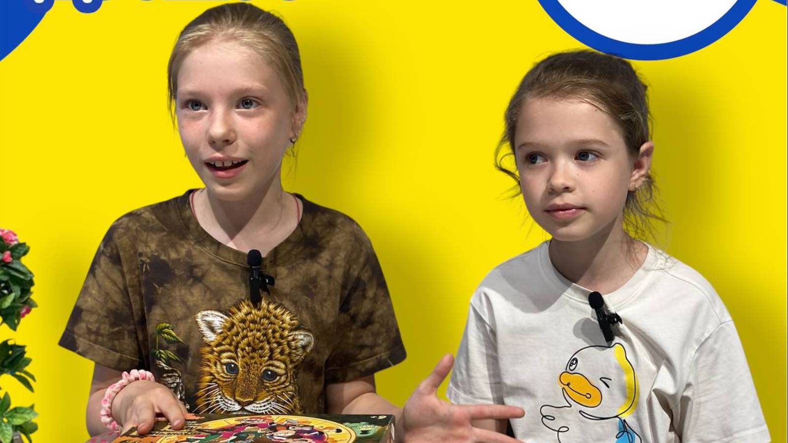 Гравити Фолз настолка